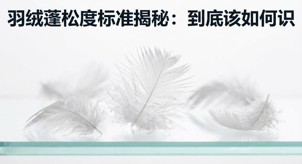 羽绒蓬松度标准揭秘：到底该如何识别优质羽绒？