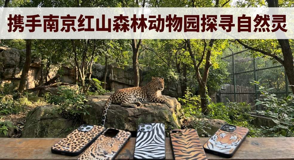 CASETiFY 携手南京红山森林动物园探寻自然灵感