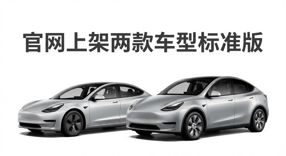 Tesla 官网上架两款车型标准版