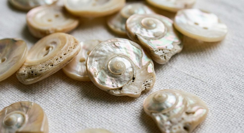 贝壳扣天然光泽：衣着上的海洋艺术品第一张图