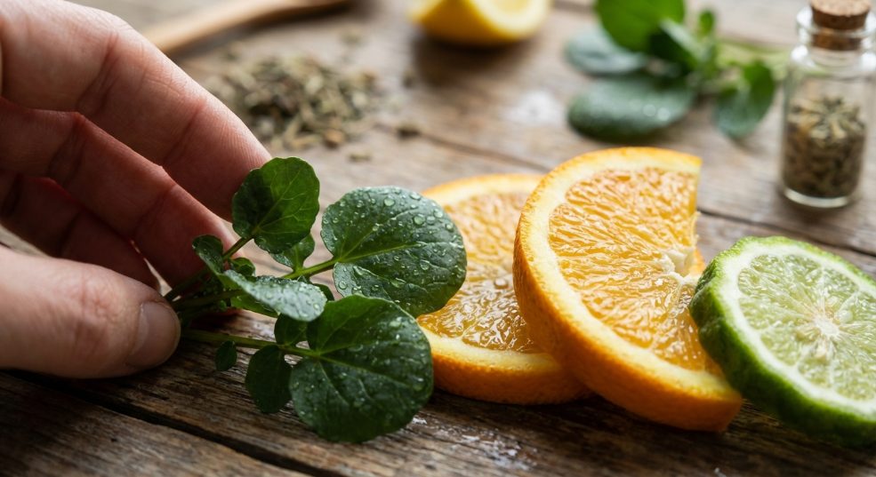 Dries Van Noten 推出全新淡香型香水第一张图