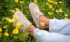 BIRKENSTOCK 业绩持续增长