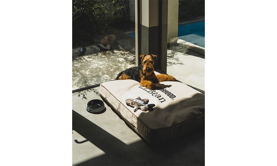 NEIGHBORHOOD®︎ 发布全新宠物系列