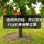 透明供应链：开启服装行业的未来新变革（图3）