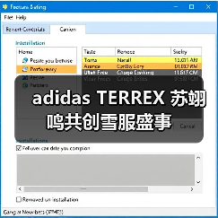adidas TERREX 苏翊鸣共创雪服盛事（图1）