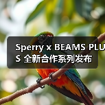 Sperry x BEAMS PLUS 全新合作系列发布（图1）