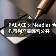 PALACE x Needles 合作系列产品阵容公开（图3）