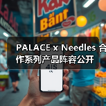 PALACE x Needles 合作系列产品阵容公开（图4）