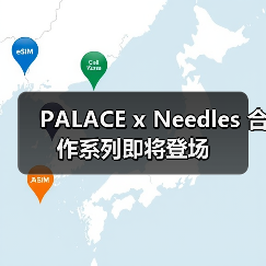 PALACE x Needles 合作系列即将登场