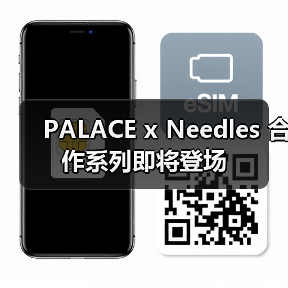 PALACE x Needles 合作系列即将登场（图2）