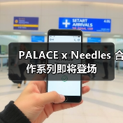 PALACE x Needles 合作系列即将登场（图3）