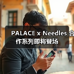 PALACE x Needles 合作系列即将登场（图4）