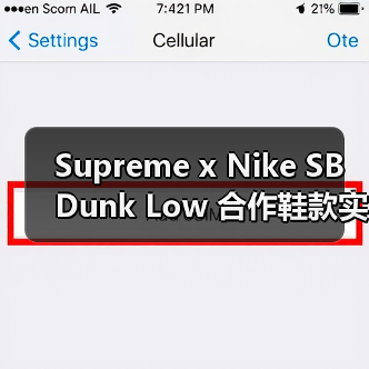 Supreme x Nike SB Dunk Low 合作鞋款实物曝光（图1）