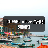 DIESEL x Lee 合作系列回归（图2）
