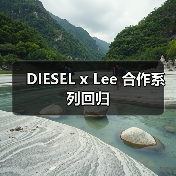 DIESEL x Lee 合作系列回归（图4）