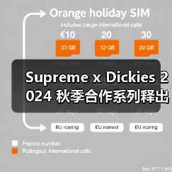 Supreme x Dickies 2024 秋季合作系列释出（图4）