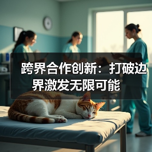 跨界合作创新：打破边界激发无限可能（图4）