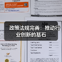 政策法规完善：推动行业创新的基石（图4）