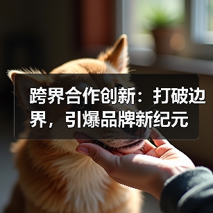 跨界合作创新：打破边界，引爆品牌新纪元（图2）