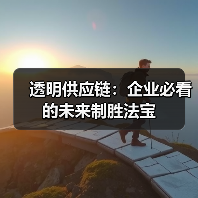 透明供应链：企业必看的未来制胜法宝（图1）