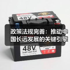 政策法规完善：推动中国长远发展的关键引擎（图4）