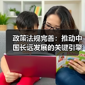 政策法规完善：推动中国长远发展的关键引擎（图1）