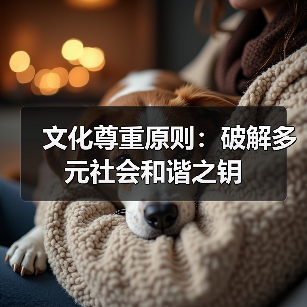 文化尊重原则：破解多元社会和谐之钥（图3）