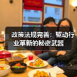政策法规完善：驱动行业革新的秘密武器（图1）