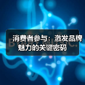 消费者参与：激发品牌魅力的关键密码（图2）