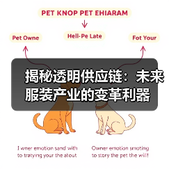 揭秘透明供应链：未来服装产业的变革利器