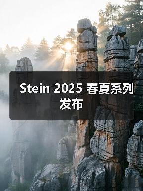 Stein 2025 春夏系列发布(图3) Stein 2025 春夏系列发布(图3)