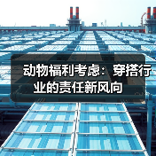 动物福利考虑：穿搭行业的责任新风向（图4）