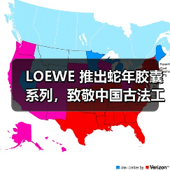 LOEWE 推出蛇年胶囊系列,致敬中国古法工艺(图2) LOEWE 推出蛇年胶囊系列,致敬中国古法工艺(图2)