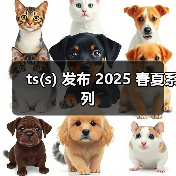 ts(s) 发布 2025 春夏系列(图3) ts(s) 发布 2025 春夏系列(图3)