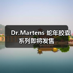 Dr.Martens 蛇年胶囊系列即将发售(图1) Dr.Martens 蛇年胶囊系列即将发售(图1)