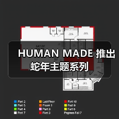 HUMAN MADE 推出蛇年主题系列（图4）