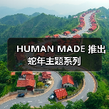 HUMAN MADE 推出蛇年主题系列（图2）