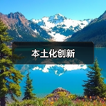 本土化创新（图1）