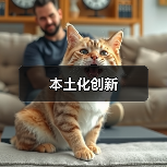 本土化创新（图4）