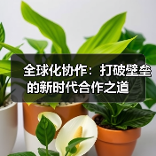 全球化协作:打破壁垒的新时代合作之道(图2) 全球化协作:打破壁垒的新时代合作之道(图2)