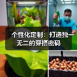 个性化定制：打造独一无二的穿搭密码（图1）