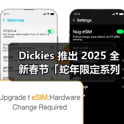 Dickies 推出 2025 全新春节「蛇年限定系列」（图3）