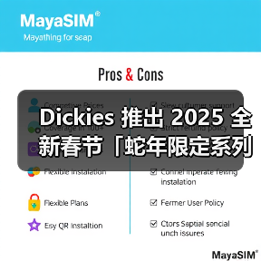 Dickies 推出 2025 全新春节「蛇年限定系列」（图4）