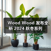 Wood Wood 发布全新 2024 秋冬系列（图4）