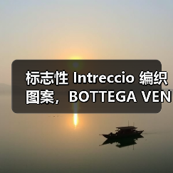 标志性 Intreccio 编织图案，BOTTEGA VENETA 推出 Odyssey 行李箱（图1）