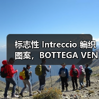 标志性 Intreccio 编织图案，BOTTEGA VENETA 推出 Odyssey 行李箱（图2）