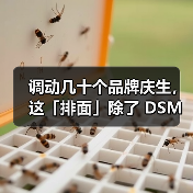 调动几十个品牌庆生，这「排面」除了 DSM 还有谁？（图1）