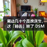 调动几十个品牌庆生，这「排面」除了 DSM 还有谁？（图4）