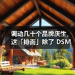 调动几十个品牌庆生，这「排面」除了 DSM 还有谁？（图2）