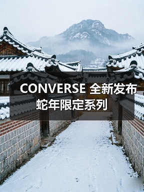 CONVERSE 全新发布蛇年限定系列(图2) CONVERSE 全新发布蛇年限定系列(图2)